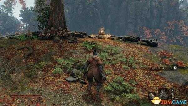 《只狼：影逝二度》鲜柿子获取方法 干柿子获取方法