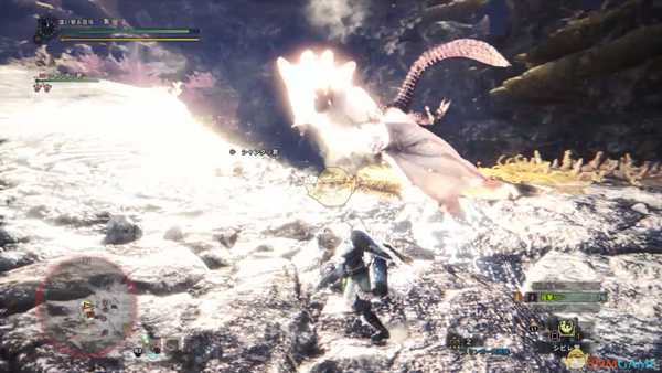 《怪物猎人：世界》浮空龙打法心得详解 浮空龙怎么打