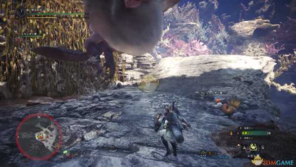 《怪物猎人：世界》浮空龙打法心得详解 浮空龙怎么打