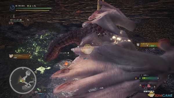 《怪物猎人：世界》浮空龙打法心得详解 浮空龙怎么打