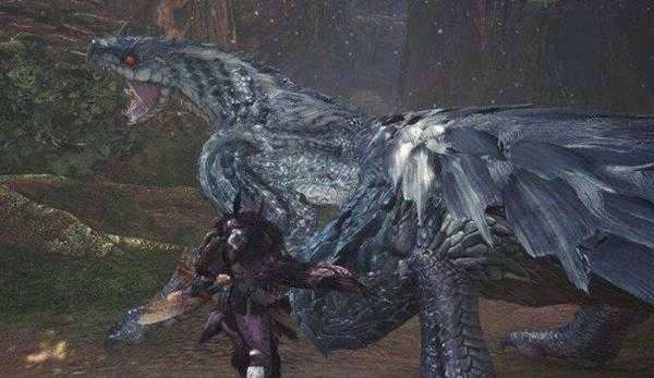 《怪物猎人：世界》飞雷龙全掉落素材及概率一览