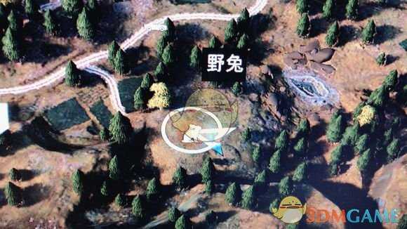 《孤岛惊魂5》野兔狩猎地点一览 野兔在哪找