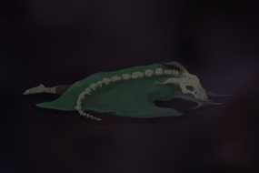 《杀戮尖塔》静默猎手怎么玩 The Silent相关小百科