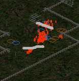 《暗黑破坏神2》死灵法师炸牛攻略