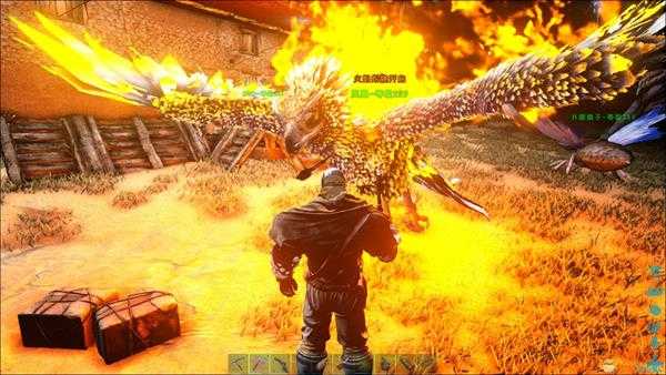 《方舟：生存进化》凤凰饲养心得 凤凰怎么养