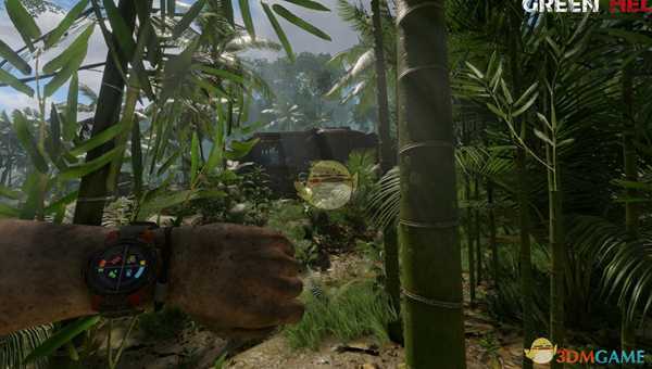 《绿色地狱》新手怎么玩 游戏初期技巧介绍