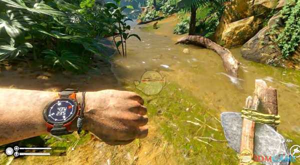 《绿色地狱》食物吃了有什么效果 游戏中部分食物效果介绍