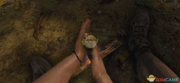 《绿色地狱》如何防止食物腐败 防止食物腐败方法介绍