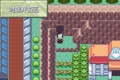 口袋妖怪绿宝石二周目怎么玩