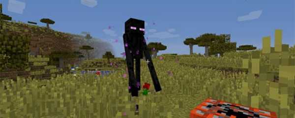 末影人怎么驯服