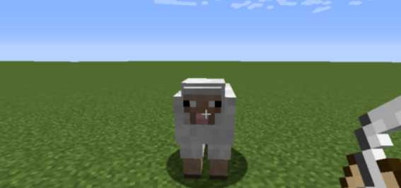 我的世界怎么让羊变成彩虹羊