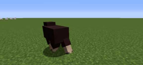 我的世界怎么让羊变成彩虹羊