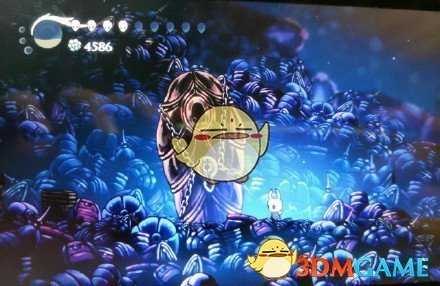 《空洞骑士》寻神者DLC进入方法