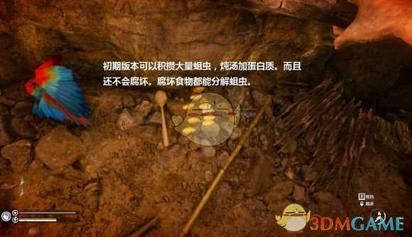 《绿色地狱》住所选哪好 不担心野人的住所推荐