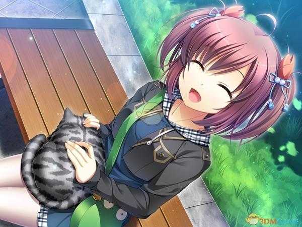 《高考恋爱一百天》高效学习方法介绍