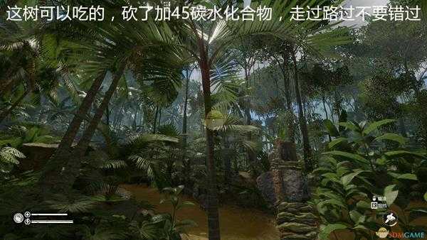 《绿色地狱》特殊地点坐标位置一览