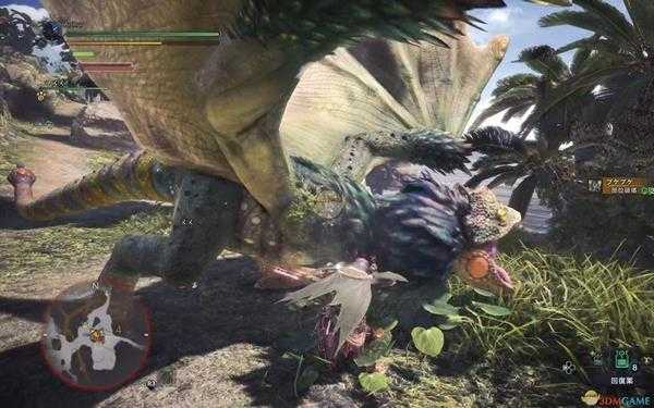 《怪物猎人：世界》绚辉龙双刀推荐及配装攻略