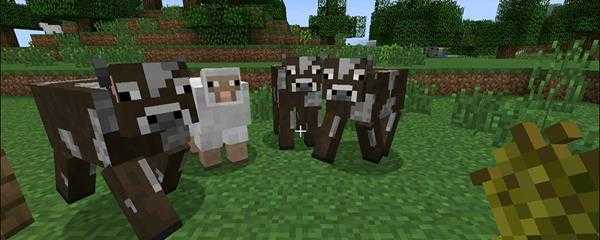 我的世界皮革怎么得