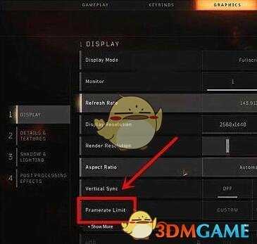 《使命召唤15：黑色行动4》画面应该怎么设置？