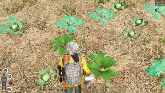 《人渣》野外野果采集种类一览