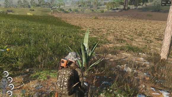 《人渣》野外野果采集种类一览