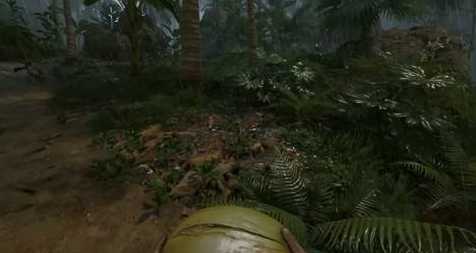 《绿色地狱》BUFF种类与加成效果一览