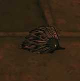 《饥荒》哈姆雷特全生物介绍