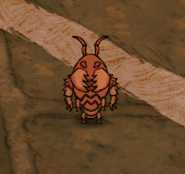 《饥荒》哈姆雷特全生物介绍