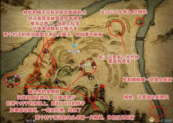 《河洛群侠传》新手村五毒分布图分享