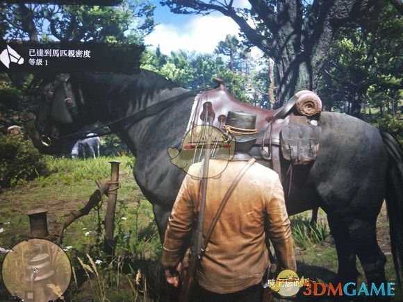 《荒野大镖客2》预购奖励马匹怎么领取？