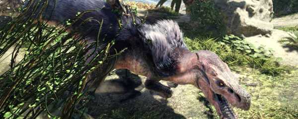 怪物猎人世界温暖的毛皮在哪