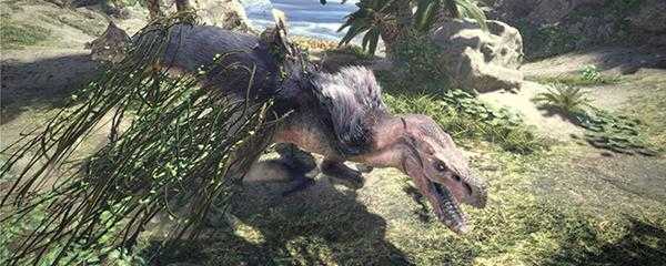 怪物猎人浮空龙在几区