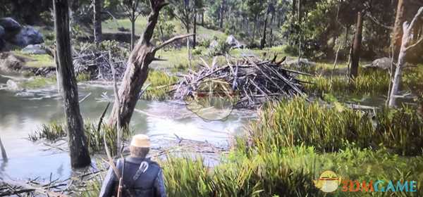 《荒野大镖客2》狩猎赚钱技巧分享