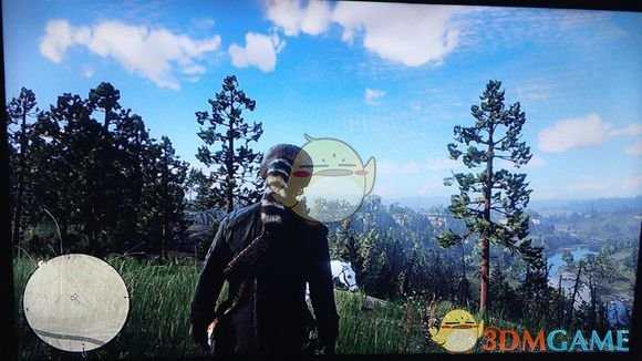 《荒野大镖客2》稀有浣熊帽获得方法介绍