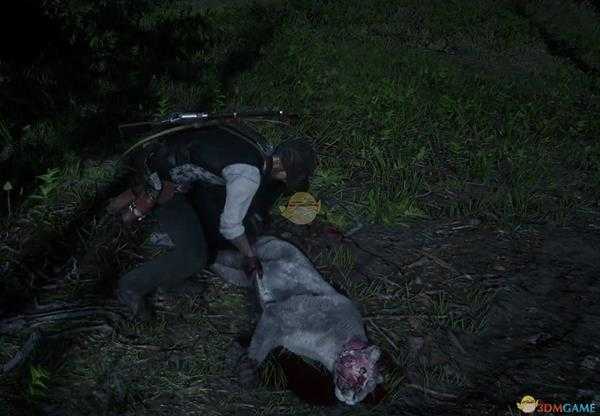 《荒野大镖客2》美洲狮刷新位置分享