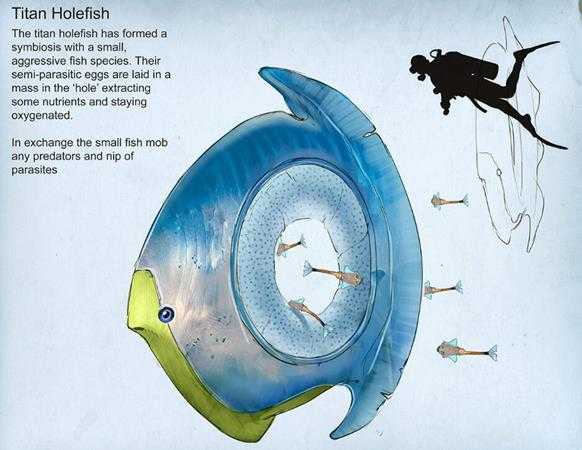 《深海迷航》零度之下生物图鉴