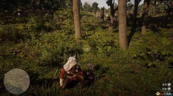 《荒野大镖客2》全草药植物位置一览