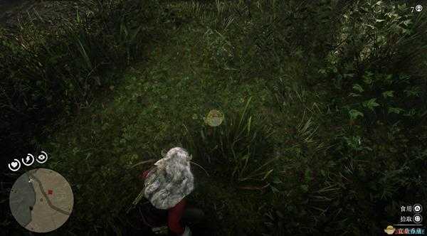 《荒野大镖客2》全草药植物位置一览