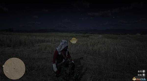 《荒野大镖客2》全草药植物位置一览