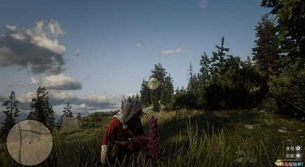 《荒野大镖客2》全草药植物位置一览