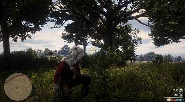 《荒野大镖客2》全草药植物位置一览