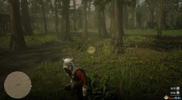 《荒野大镖客2》全草药植物位置一览