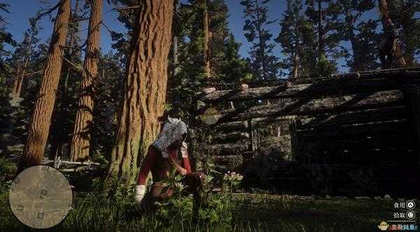 《荒野大镖客2》全草药植物位置一览