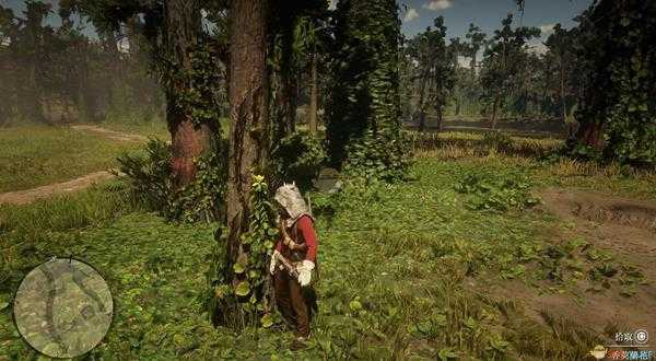 《荒野大镖客2》全草药植物位置一览
