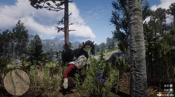 《荒野大镖客2》全草药植物位置一览