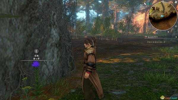 《河洛群侠传》腐心草位置分享