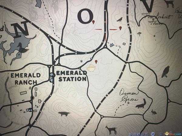 《荒野大镖客2》鸟刷新地点分享