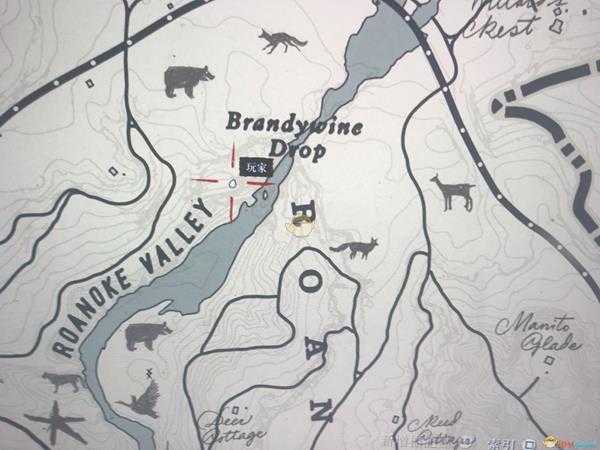 《荒野大镖客2》驼鹿刷新位置分享