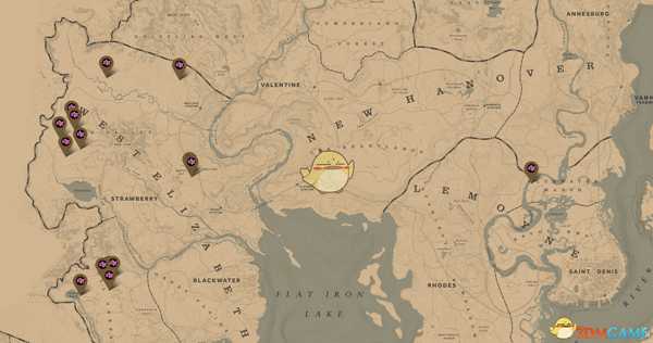 《荒野大镖客2》全稀有花朵位置分享