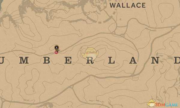 《荒野大镖客2》全人参灵药位置分享